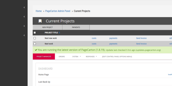 Project Manager Photo
